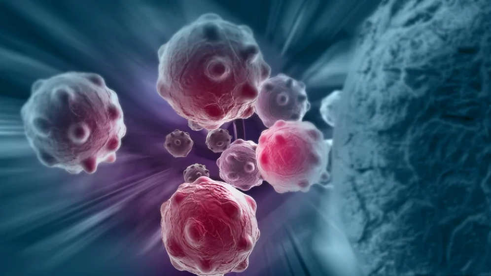 Himanshu Mishra: In Situ Oncolytic Virus Hydrogel Therapy Prevents Postoperative Tumor Recurrence