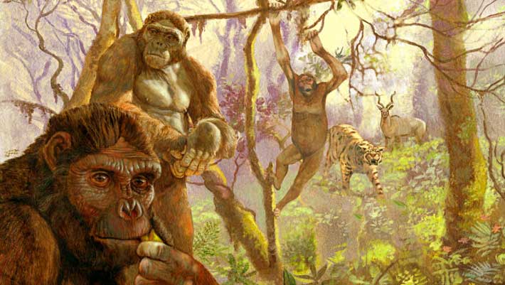 Humans Evolved from African Ape-Like Ancestor, Research Suggests