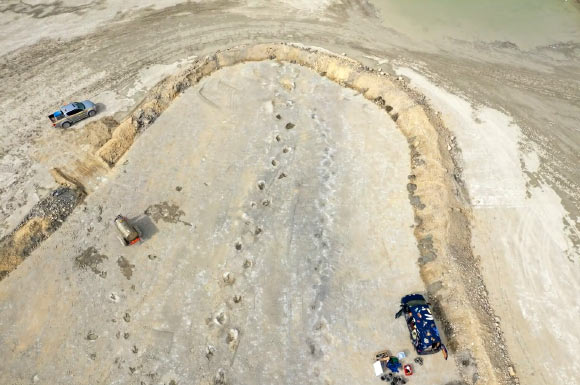 Europe’s Longest Sauropod Dinosaur Trackway Unearthed in England