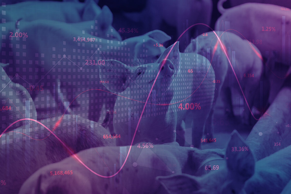 Pig outlook: Lean hog futures bulls on the ropes