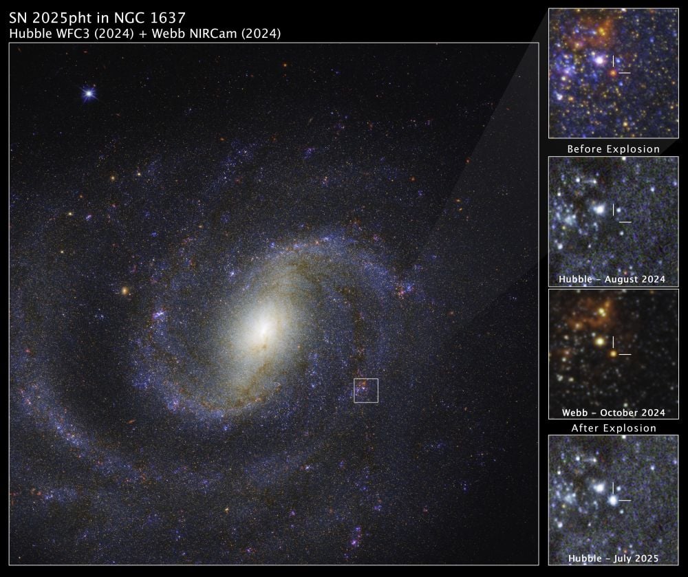 The JWST Spots A Doomed Star Entombed In Thick Dust