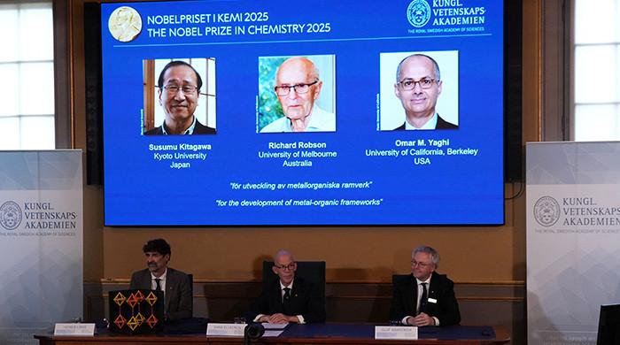 Trio win Nobel chemistry prize for work on ‘Hermione’s handbag’ materials