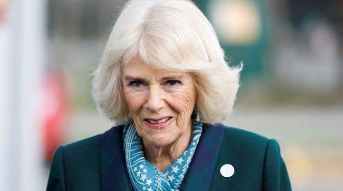 Buckingham palace shares glimpse from Queen Camilla’s solo meeting