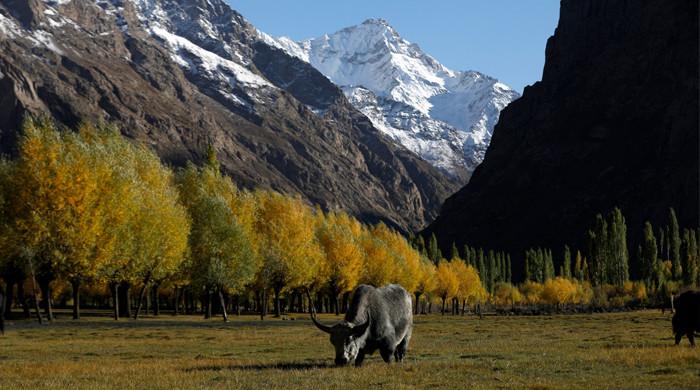 $250m funding to boost Pakistan and regional glacier-fed agriculture under ADB project