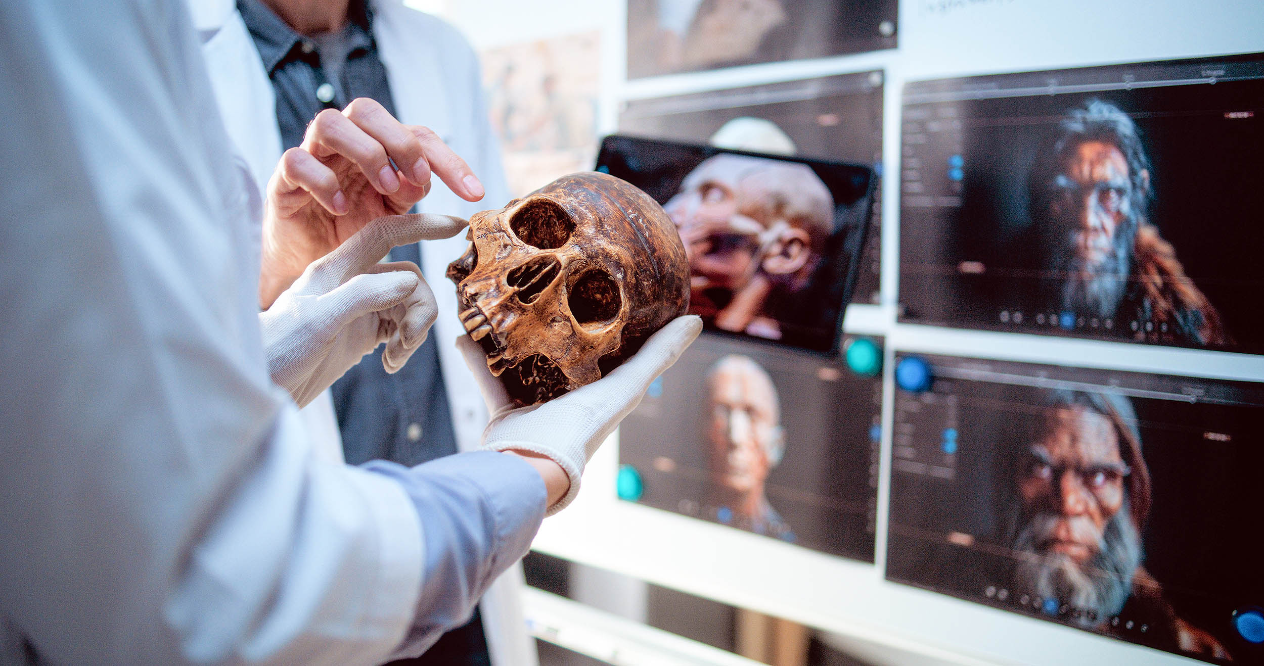 Lead may have killed off Neanderthals, but why not also humans?