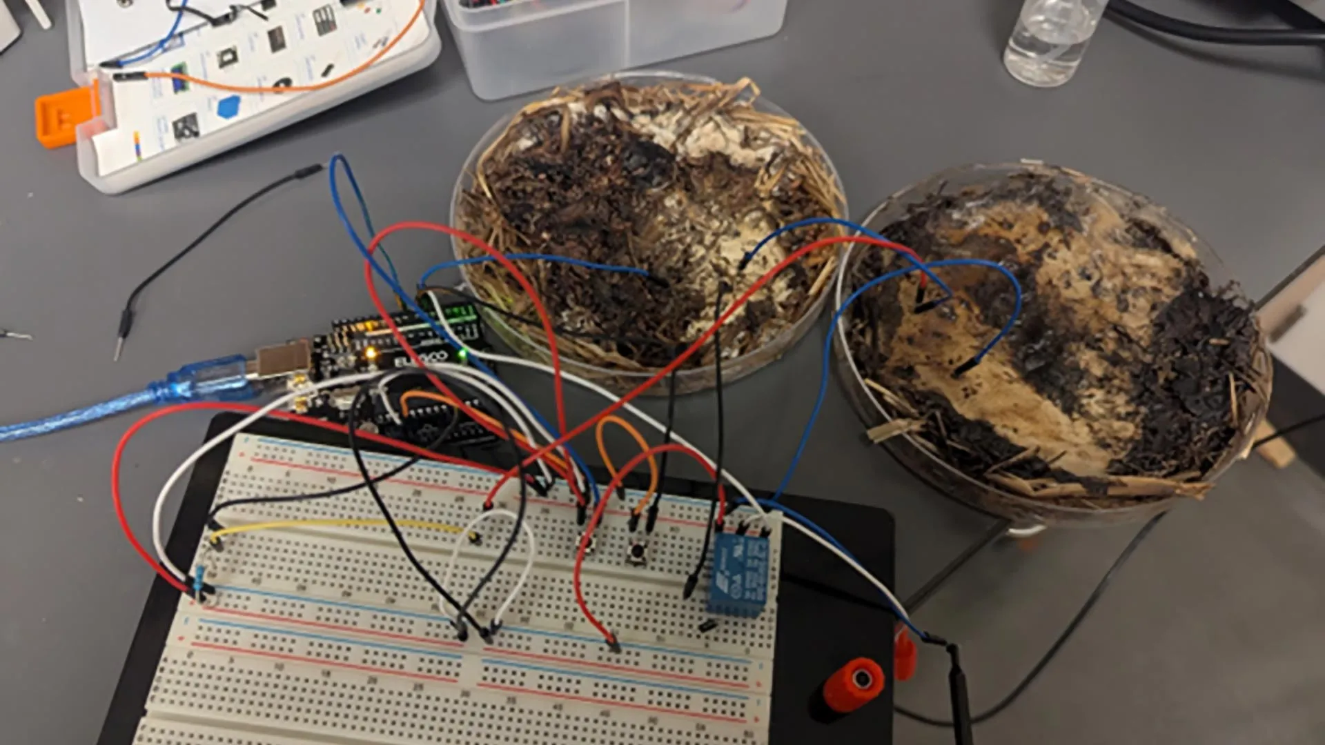 Living computers powered by mushrooms