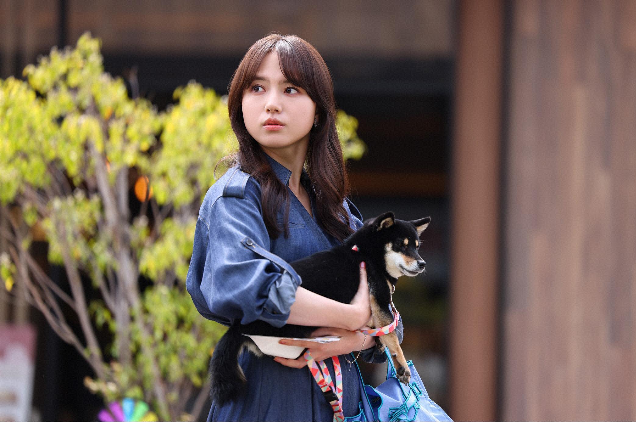 HBO Max Launches Japanese Collection This October