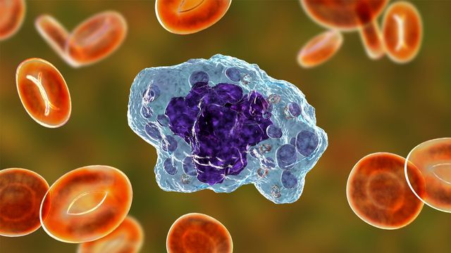 Macrophages Prevent Type 1 Diabetes by Silencing T Cells