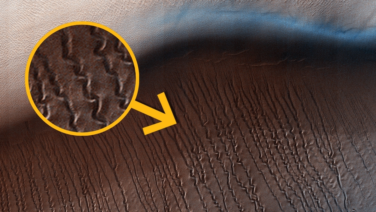 Experiment Reveals What Is Truly Burrowing Beneath Mars’s Dunes Each Spring : ScienceAlert