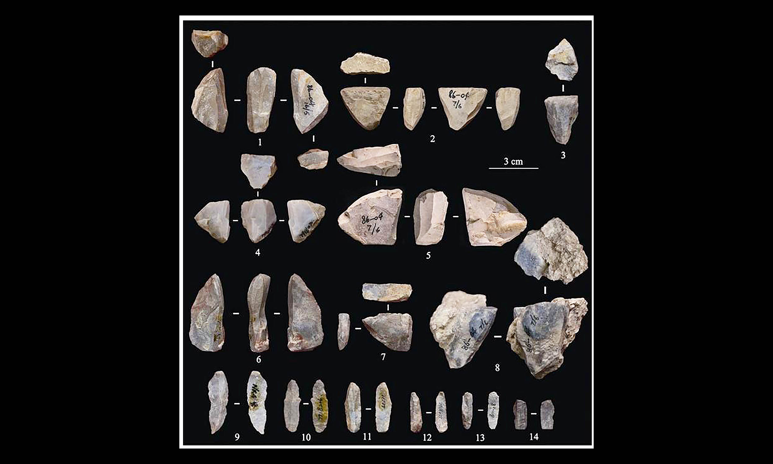 Miniature tools were South China’s ancient strategy for survival