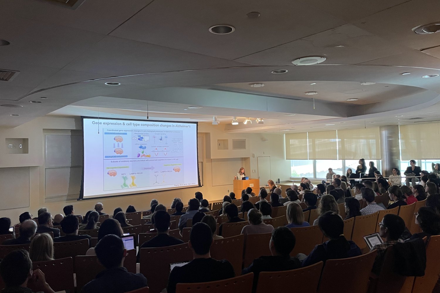 Immune-informed brain aging research offers new treatment possibilities, speakers say | MIT News