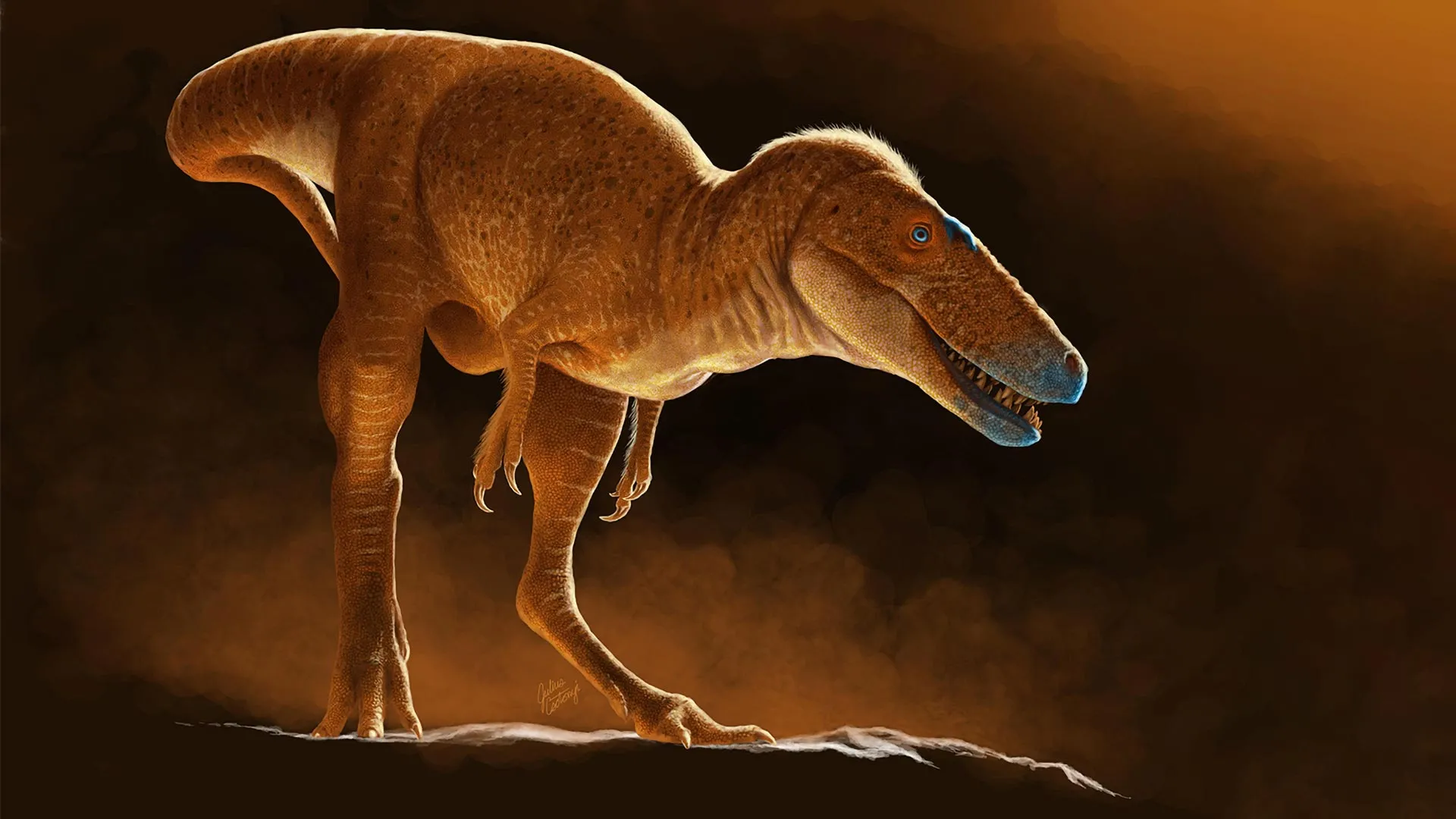 Before T. rex, there was the “dragon prince”