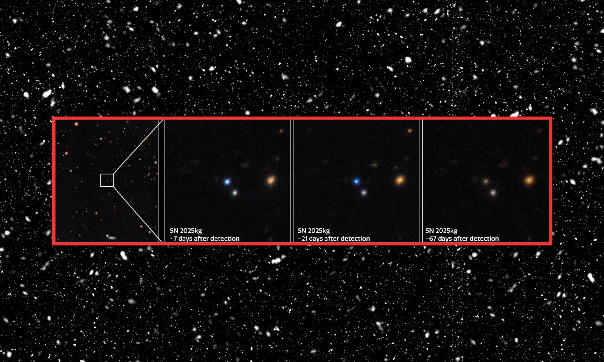 Supernova study reveals how the largest stars in the universe die