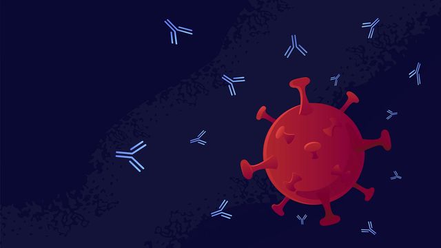 Monoclonal Antibody Shows Full Malaria Protection