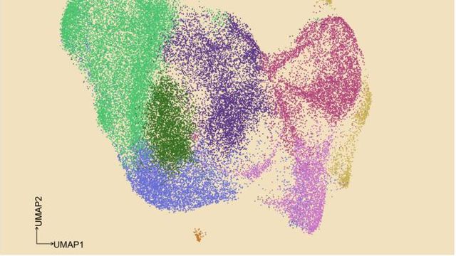 GoT-Multi Tool Maps Cancer Mutations and Cell Activity