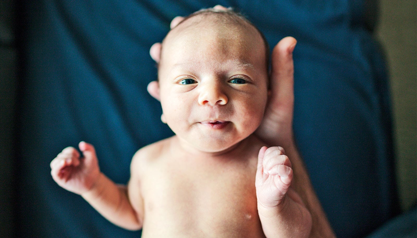 Social brain network is already active at birth