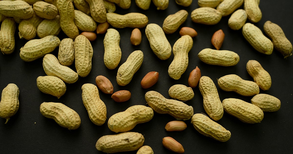 Advice to feed babies peanuts early and often helped thousands of kids avoid allergies