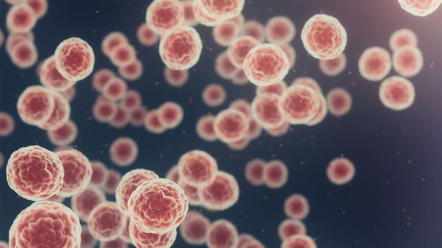 Drug Which Stops Tumors’ Blood Supply Could Help Kids