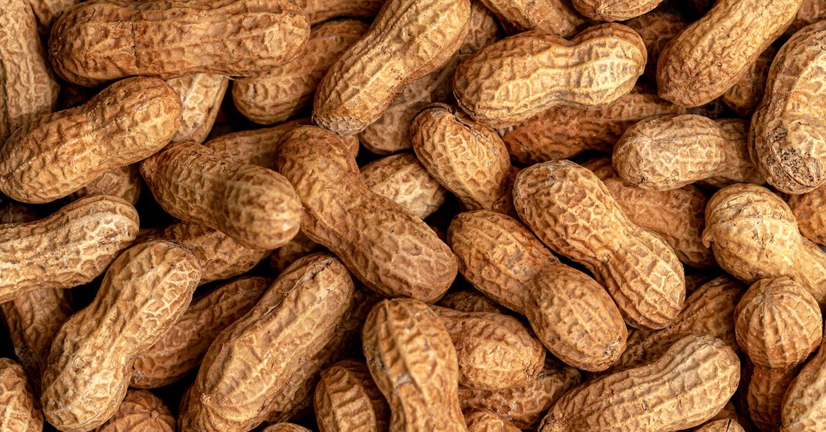 Early Introduction of Peanuts Led to Significant Decline in Allergies