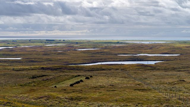 Peatlands’ Carbon Reservoir at Risk of Release