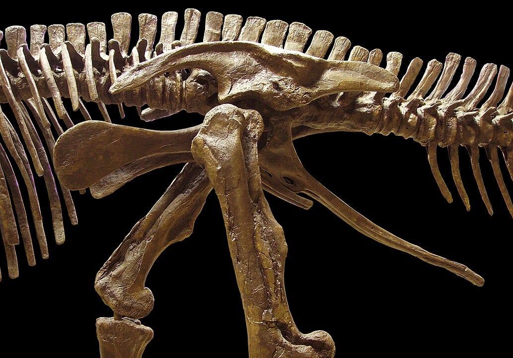 Scientists Discover First Dinosaur with Hooves, Rewriting Evolutionary History
