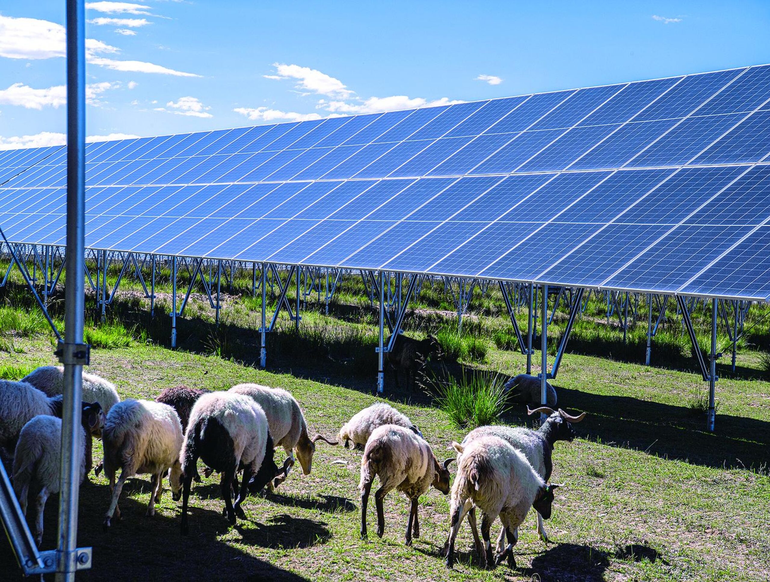 Promoting Co-Benefit Actions for Positive Environmental and Social Impacts from Renewables – News