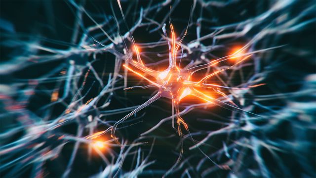 Parkinson’s Plaques Found to Disrupt Brain Cell Energy