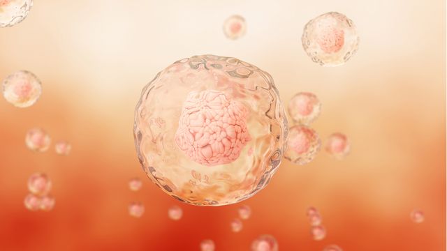 Cellular Switch Found To Drive Lung Scarring in Mice