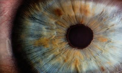 New implant partially restores vision in AMD patients • healthcare-in-europe.com