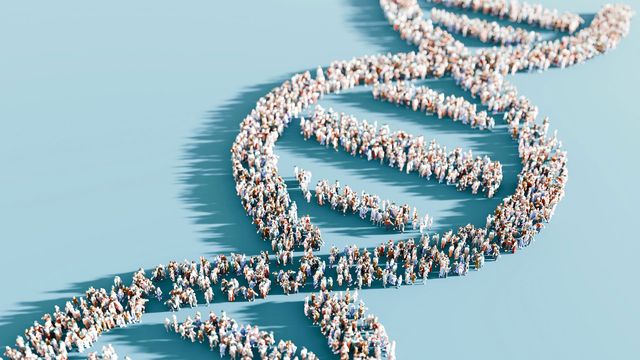 Bridging the Sex and Gender Gap in Biomedical Science