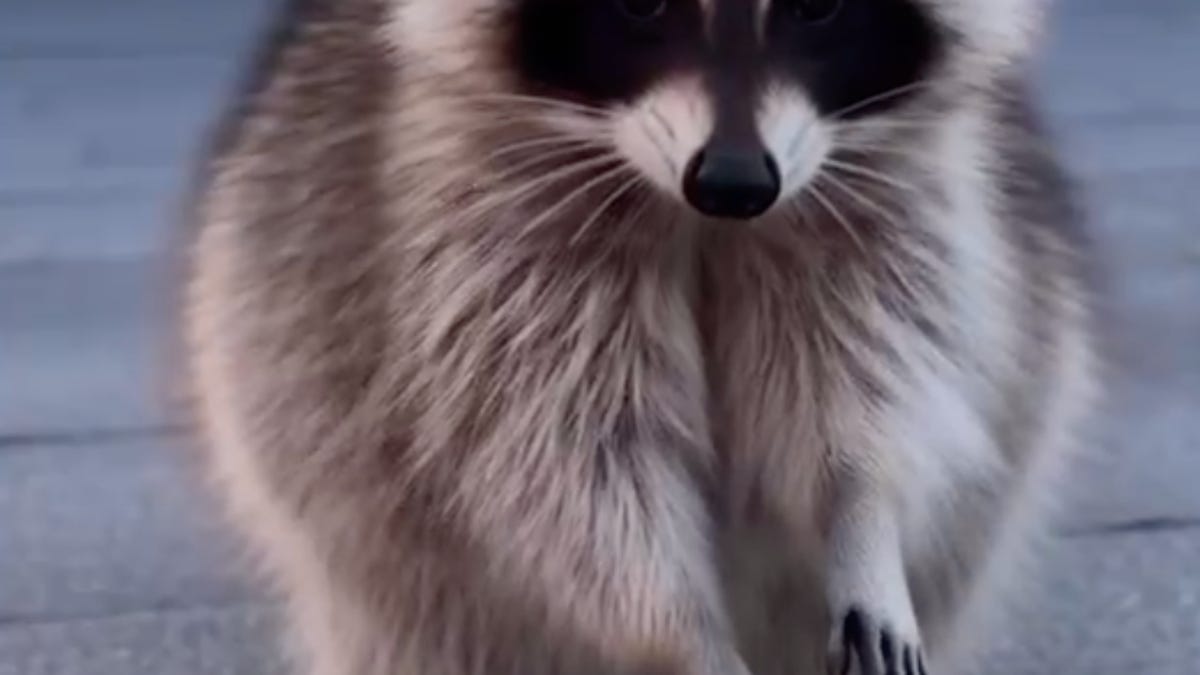 I tested Sora’s new ‘Character Cameo’ feature, and it was borderline disturbing