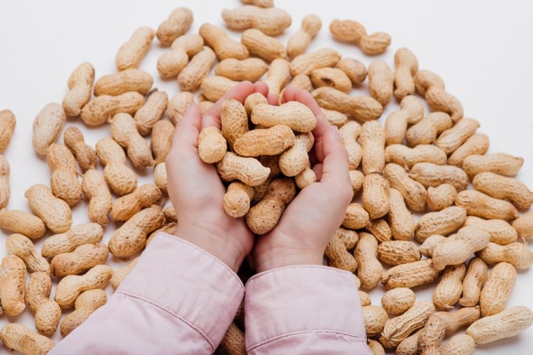Childhood food allergies significantly reduced in US since early peanut exposure guidelines