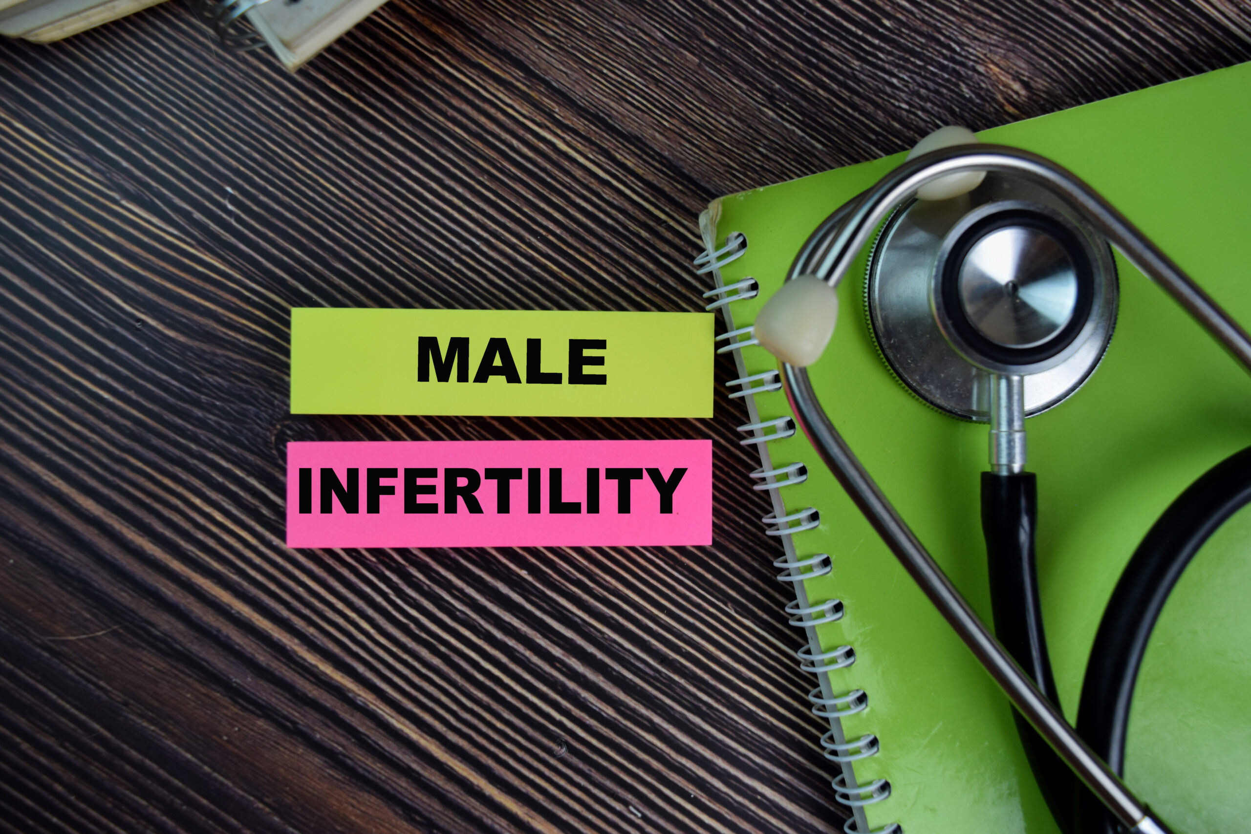 New mRNA therapy could inform future male infertility treatments