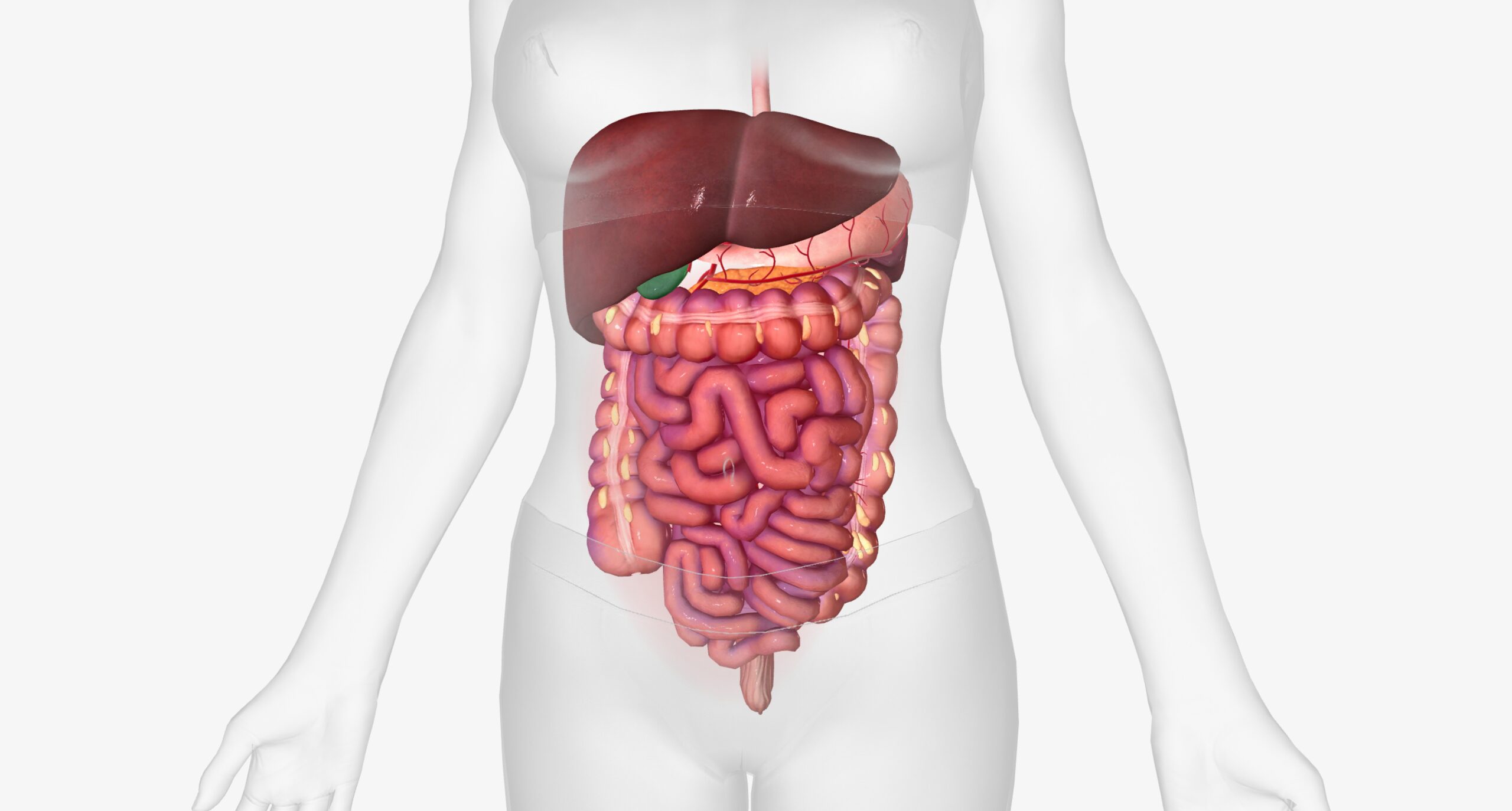 Swallowable bioluminescent pill detects early signs of gut ischaemia