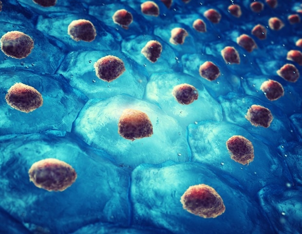 UIC researchers discover an important cellular mechanism that drives aging