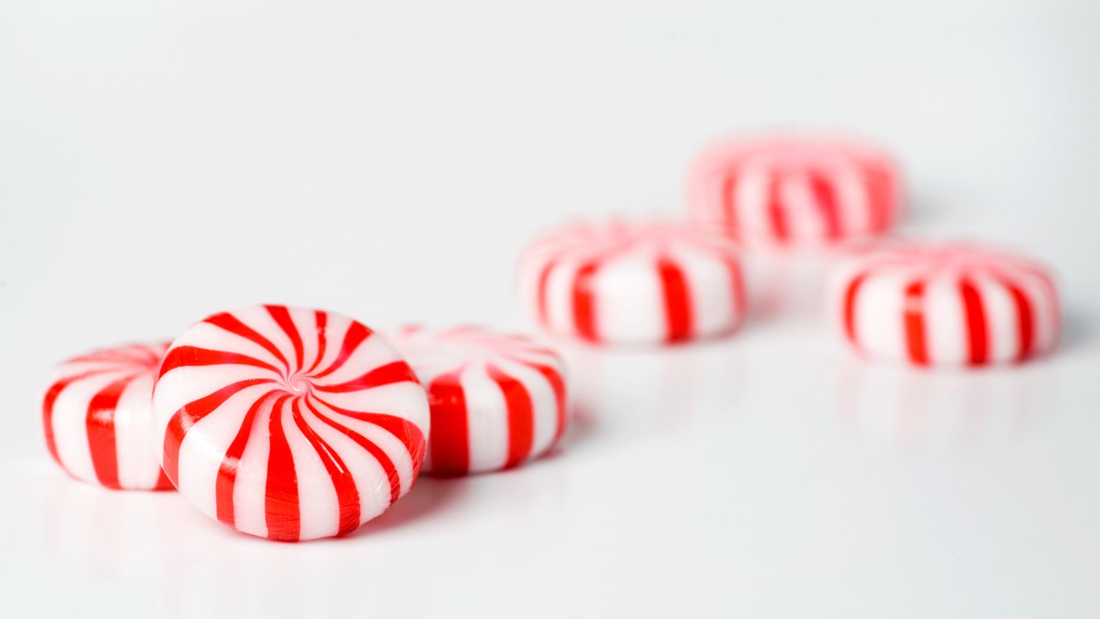 Got a cold? Try sucking on a peppermint, say scientists | Science, Climate & Tech News