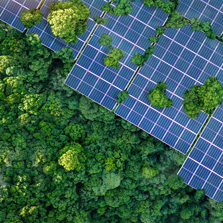 Mitigating voluntary carbon market risks: Insurance strategies for corporate climate goals