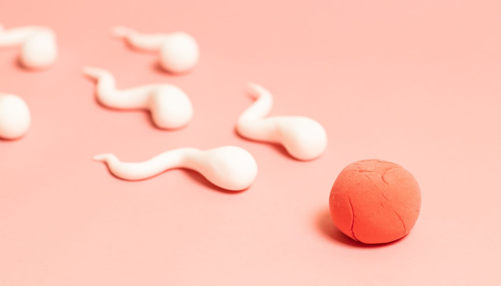 How sperm kick into ‘overdrive’ for their final sprint