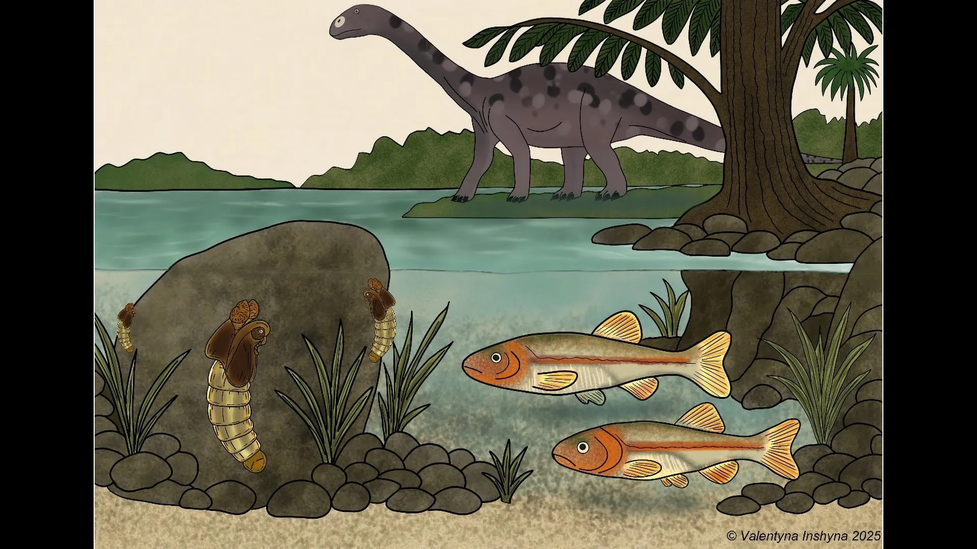 A 151-million-year-old fly just changed what we know about evolution