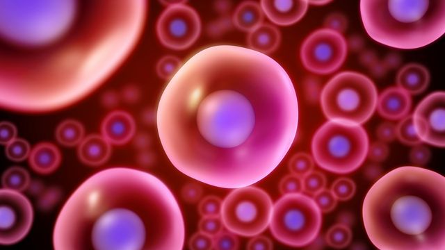New SDR-Seq Tool Links DNA Variants to Disease