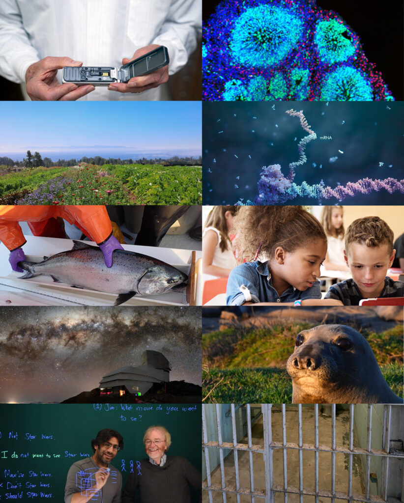 From nanopore sequencing to neutron stars, UC Santa Cruz research advances our understanding, wellbeing