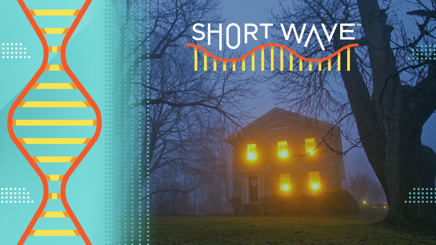 Why do we like haunted houses? The science behind why people pursue fear : Short Wave : NPR