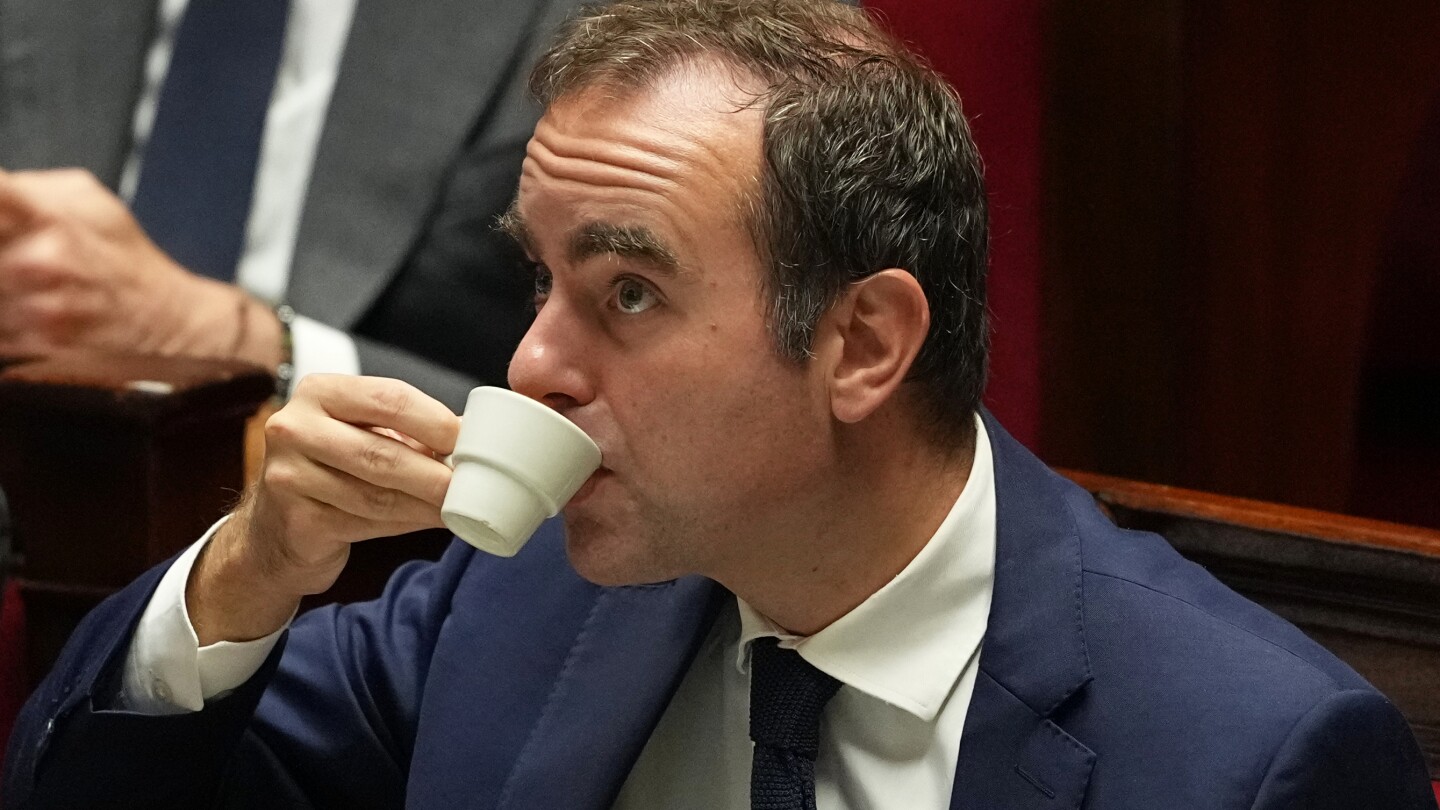 French PM survives no-confidence votes