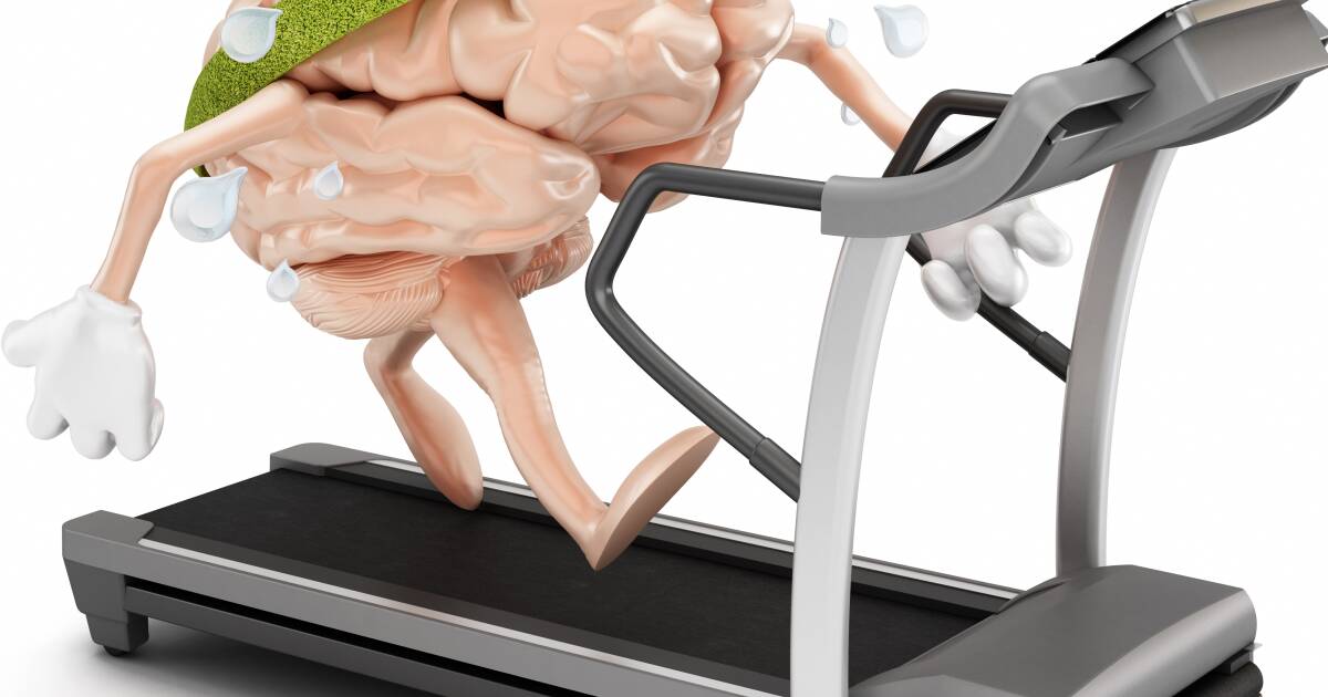Mental exercise can reverse a brain change linked to aging, study finds