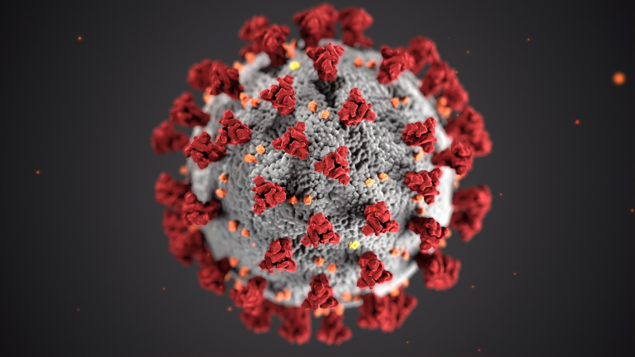 Antibodies link COVID-19 risk in HIV study