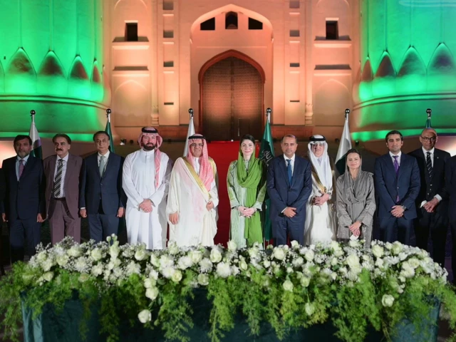 Saudi investors offered 10-year tax waiver