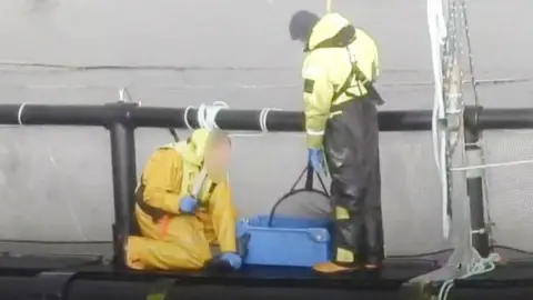 Green Britain Foundation Two men in fluorescent safety gear stand on a platform at a fishing farm. One man on his knees swings a baton towards a fish he has pinned to the ground.