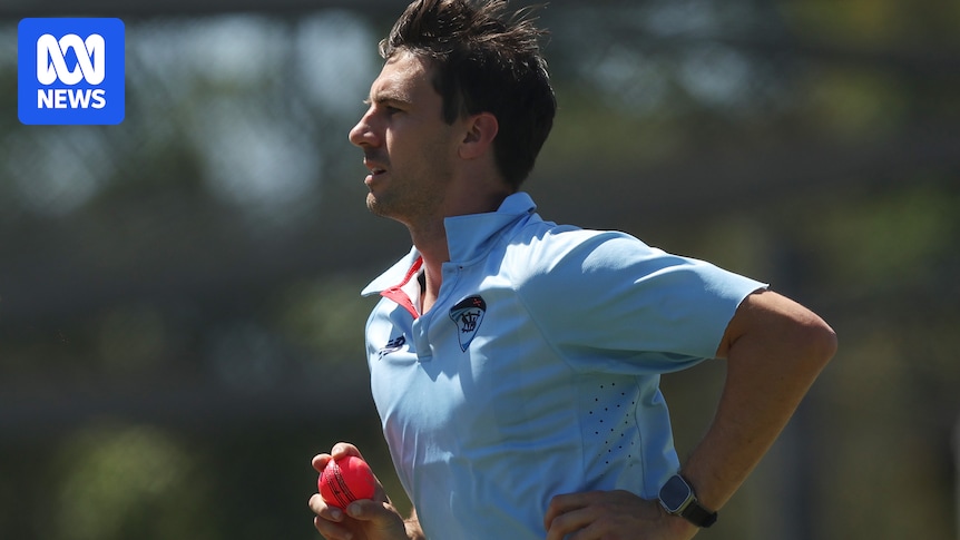 Pat Cummins continues recovery by bowling with pink ball ahead of Gabba day-night Ashes Test