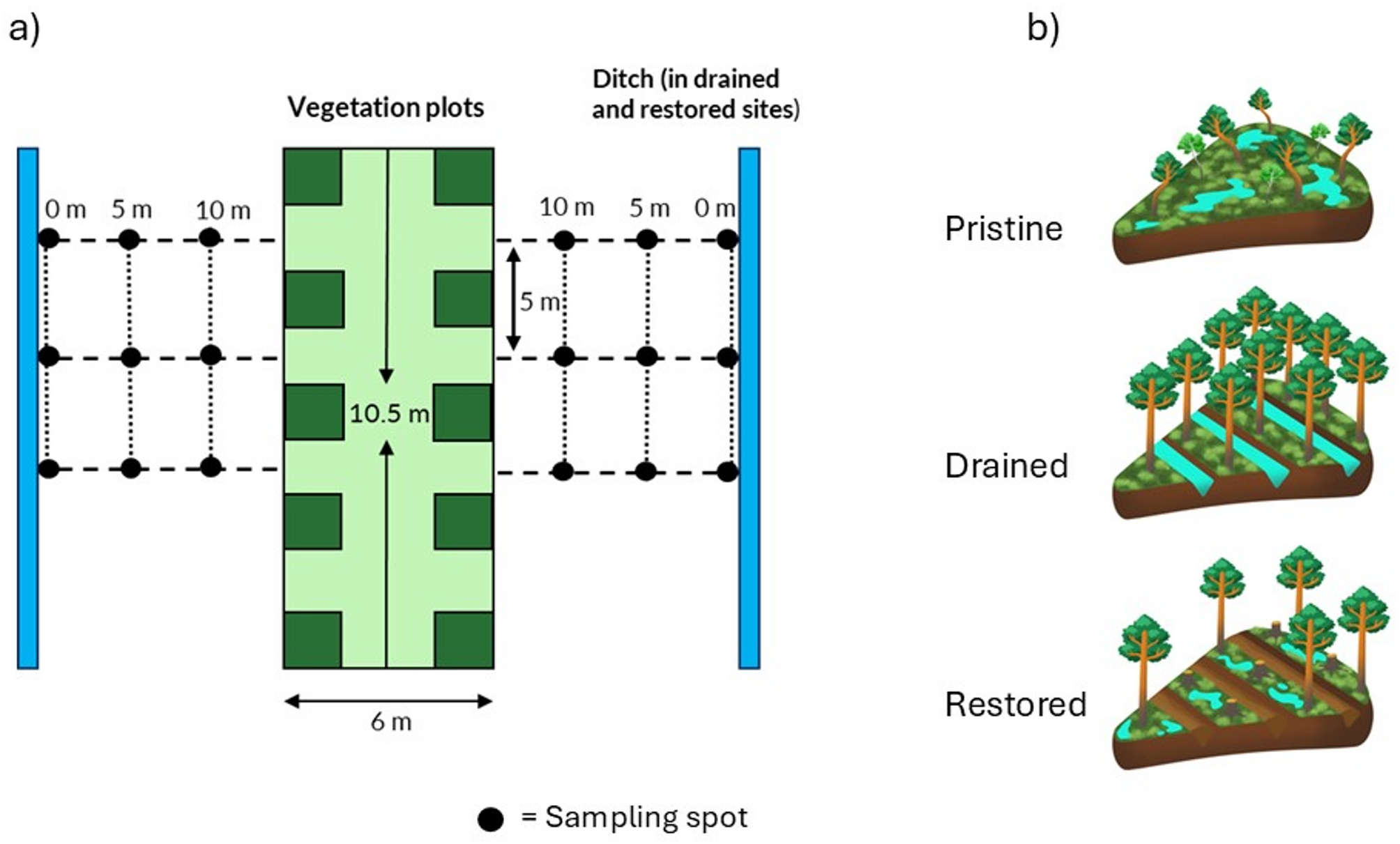 Tardigrade communities in pristine, drained and restored pine mire forests | BMC Ecology and Evolution