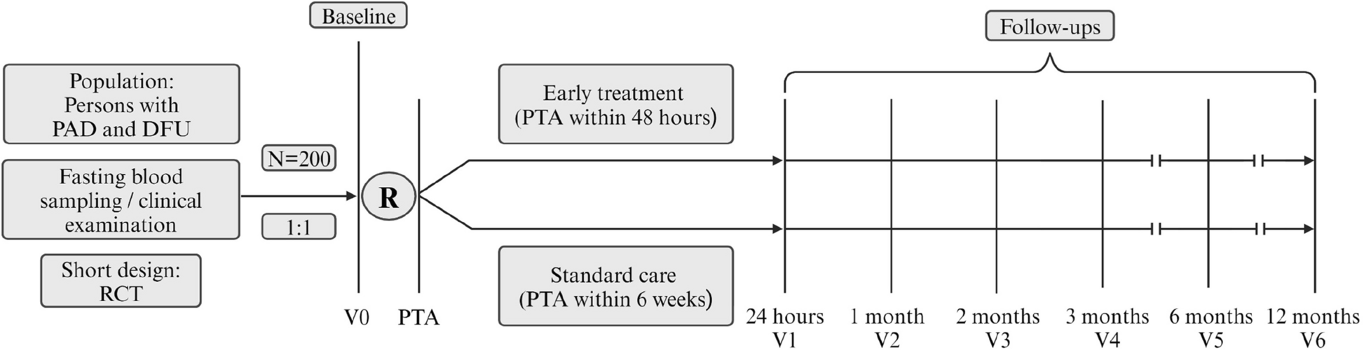PTA-DFS study: design of a randomised controlled trial assessing the effects of early percutaneous transluminal angioplasty on the healing of diabetic foot ulcers in persons with type 2 diabetes | BMC Cardiovascular Disorders